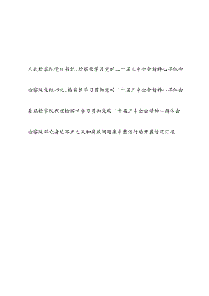 检察院党组书记检察长学习党的二十届三中全会精神心得体会和检察院群众身边不正之风和腐败问题集中整治行动开展情况汇报.docx