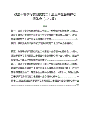 政法干警学习贯彻党的二十届三中全会精神心得体会范文12篇（详细版）.docx