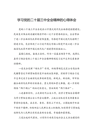 党员干部学习贯彻党的二十届三中全会精神心得感悟简短发言四十篇.docx