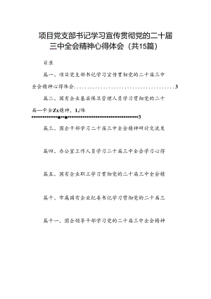 （15篇）项目党支部书记学习宣传贯彻党的二十届三中全会精神心得体会范文.docx
