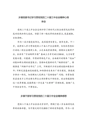 （9篇）乡镇党委书记学习贯彻党的二十届三中全会精神心得体会(完整版).docx