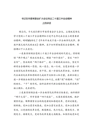 (七篇)书记在市委常委会扩大会议传达二十届三中全会精神上的讲话范文.docx