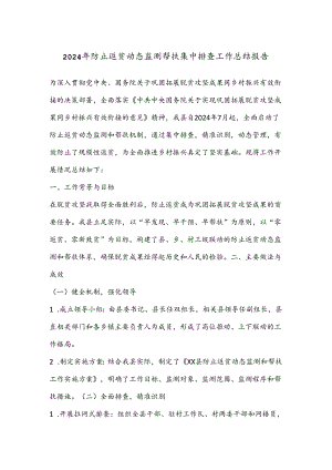 2024年防止返贫动态监测帮扶集中排查工作总结报告.docx