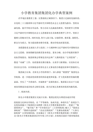 小学教育集团集团化办学典型案例.docx