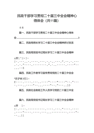 （11篇）民政干部学习贯彻二十届三中全会精神心得体会（详细版）.docx