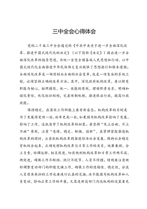 学习三中全会精神心得体会.docx