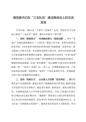 镇党委书记在“三支队伍”建设推进会上的交流发言.docx