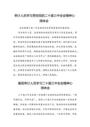 (5篇)审计人员学习贯彻党的二十届三中全会精神心得体会范文.docx