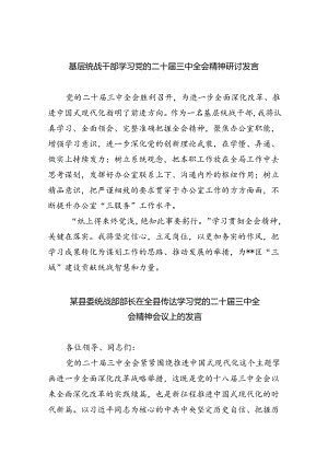 （9篇）基层统战干部学习党的二十届三中全会精神研讨发言范文.docx