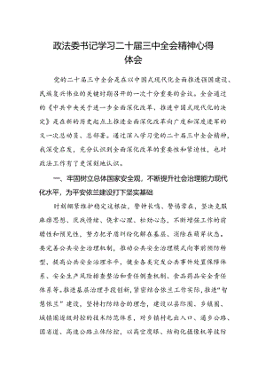 政法委书记学习二十届三中全会精神心得体会.docx