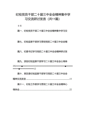 （11篇）纪检党员干部二十届三中全会精神集中学习交流研讨发言范文.docx