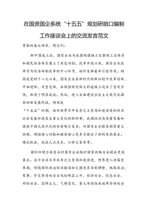 在国资国企系统“十五五”规划研究和编制工作座谈会上的交流发言范文.docx