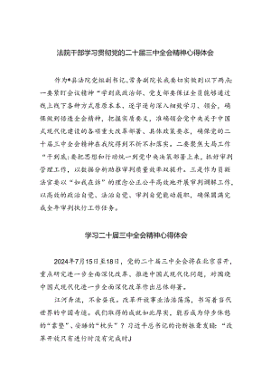 （8篇）法院干部学习贯彻党的二十届三中全会精神心得体会（详细版）.docx