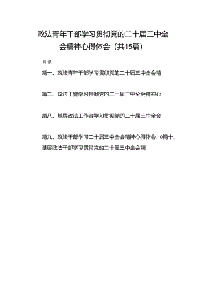 （15篇）政法青年干部学习贯彻党的二十届三中全会精神心得体会（最新版）.docx
