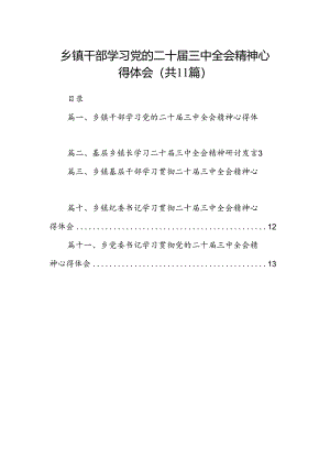 （11篇）乡镇干部学习党的二十届三中全会精神心得体会（精选）.docx