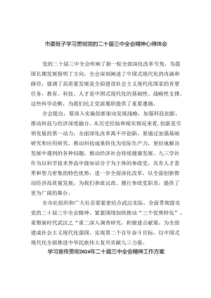 （12篇）市委班子学习贯彻党的二十届三中全会精神心得体会范文.docx