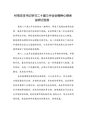 村党总支书记学习二十届三中全会精神心得体会研讨发言.docx