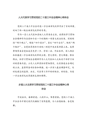 人大代表学习贯彻党的二十届三中全会精神心得体会5篇（精选版）.docx