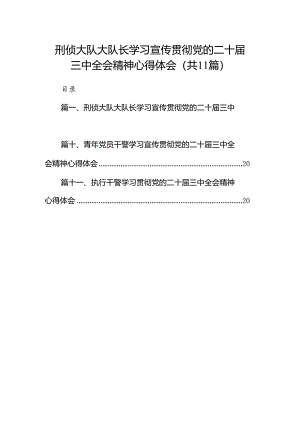 （11篇）刑侦大队大队长学习宣传贯彻党的二十届三中全会精神心得体会（详细版）.docx