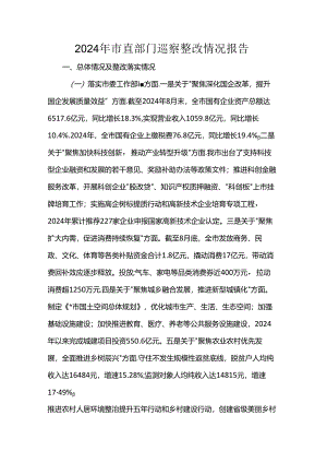 2024年市直部门巡察整改情况报告.docx