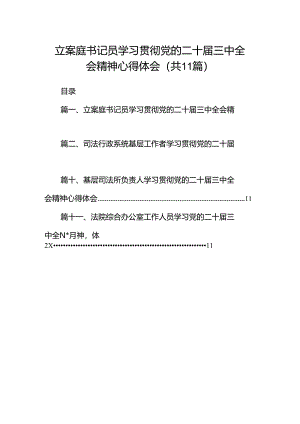 （11篇）立案庭书记员学习贯彻党的二十届三中全会精神心得体会（精选）.docx