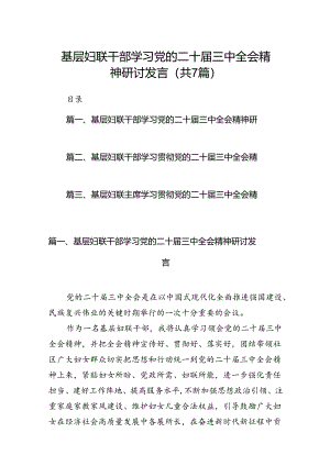 基层妇联干部学习党的二十届三中全会精神研讨发言（共7篇）.docx