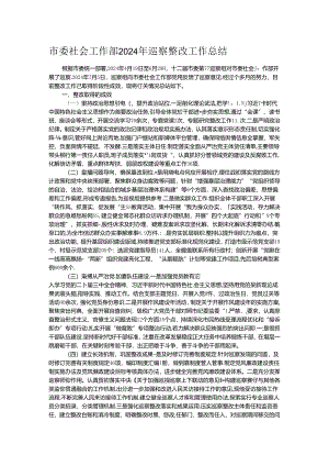 市委社会工作部2024年巡察整改工作总结.docx