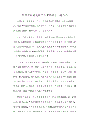 学习贯彻对民政工作重要指示心得体会.docx
