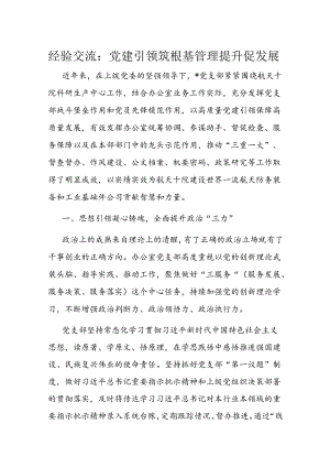经验交流：党建引领筑根基 管理提升促发展.docx