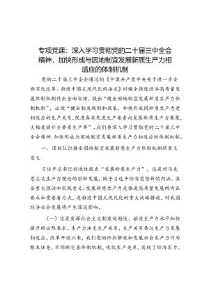 专题党课：深入学习贯彻党的二十届三中全会精神加快形成与因地制宜发展新质生产力相适应的体制机制.docx