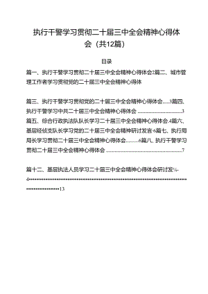 执行干警学习贯彻二十届三中全会精神心得体会12篇（详细版）.docx