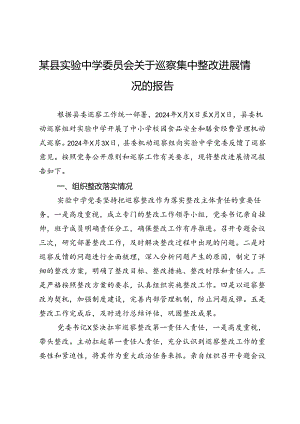 某县实验中学委员会关于巡察集中整改进展情况的报告.docx