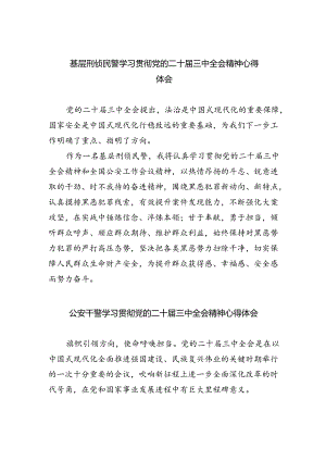 基层刑侦民警学习贯彻党的二十届三中全会精神心得体会5篇（详细版）.docx