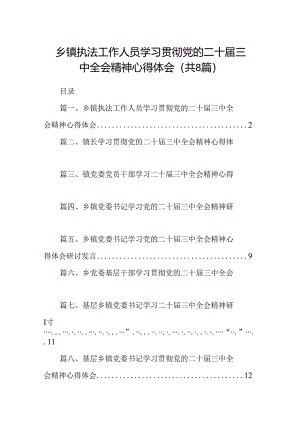 (八篇)乡镇执法工作人员学习贯彻党的二十届三中全会精神心得体会（详细版）.docx