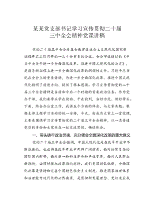 某某党支部书记学习宣传贯彻二十届三中全会精神党课讲稿.docx