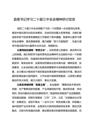 县委书记学习二十届三中全会精神研讨发言.docx