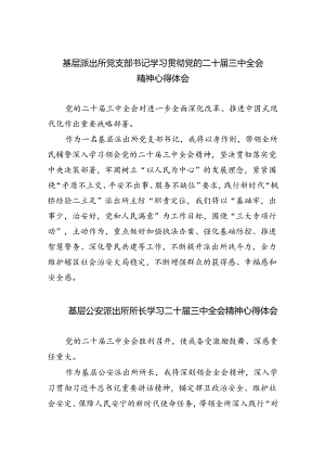 基层派出所党支部书记学习贯彻党的二十届三中全会精神心得体会5篇（最新版）.docx