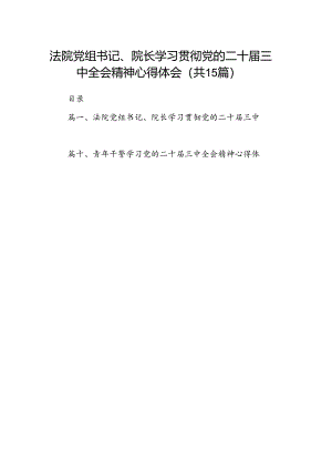 （15篇）法院党组书记、院长学习贯彻党的二十届三中全会精神心得体会（最新版）.docx