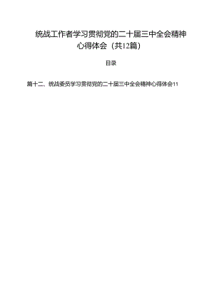 统战工作者学习贯彻党的二十届三中全会精神心得体会12篇（详细版）.docx