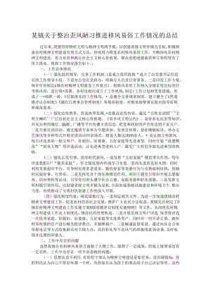 某镇关于整治歪风陋习推进移风易俗工作情况的总结.docx