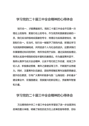 2024年党的二十届三中全会精神心得体会模板四十篇.docx