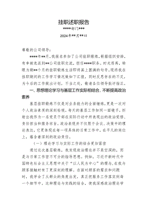 2024年挂职述职报告.docx
