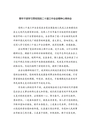 （9篇）青年干部学习贯彻党的二十届三中全会精神心得体会范文.docx