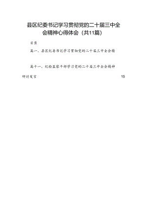 （11篇）县区纪委书记学习贯彻党的二十届三中全会精神心得体会范文.docx