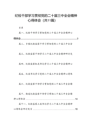 （11篇）纪检干部学习贯彻党的二十届三中全会精神心得体会（详细版）.docx