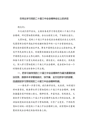 （7篇）在传达学习党的二十届三中全会精神会议上的讲话（最新版）.docx