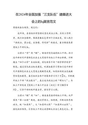 在2024年全面加强“三支队伍”建设推进大会上的汇报发言范文.docx
