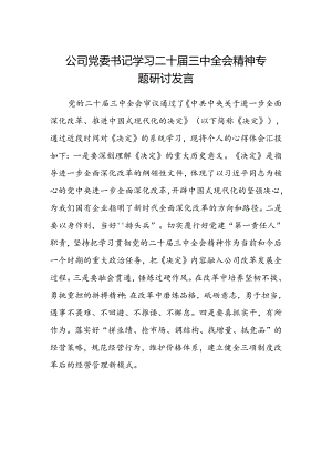 公司党委书记学习二十届三中全会精神专题研讨发言.docx