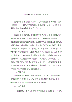 （9篇）支部2024年发展党员工作计划范文.docx