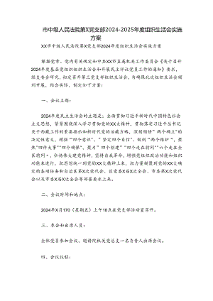 市中级人民法院第X党支部2024-2025年度组织生活会实施方案.docx
